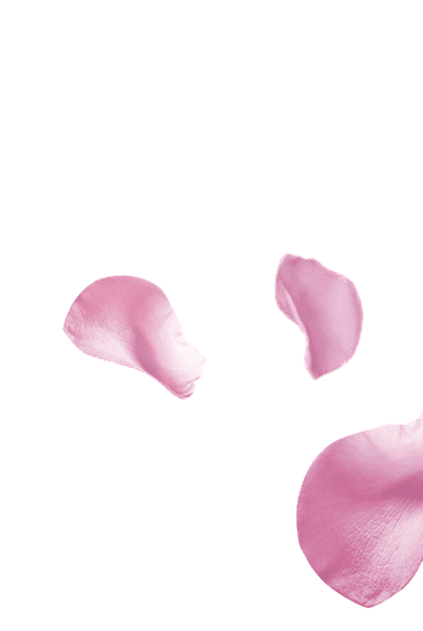power simplicity petals